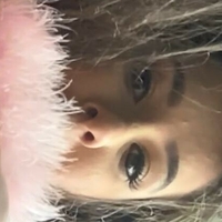 Desy Gato Nua