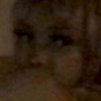 Kittypet Nua
