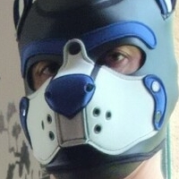 pupbuday Nua