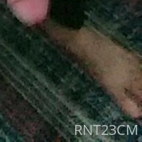 rnt23cm Nua
